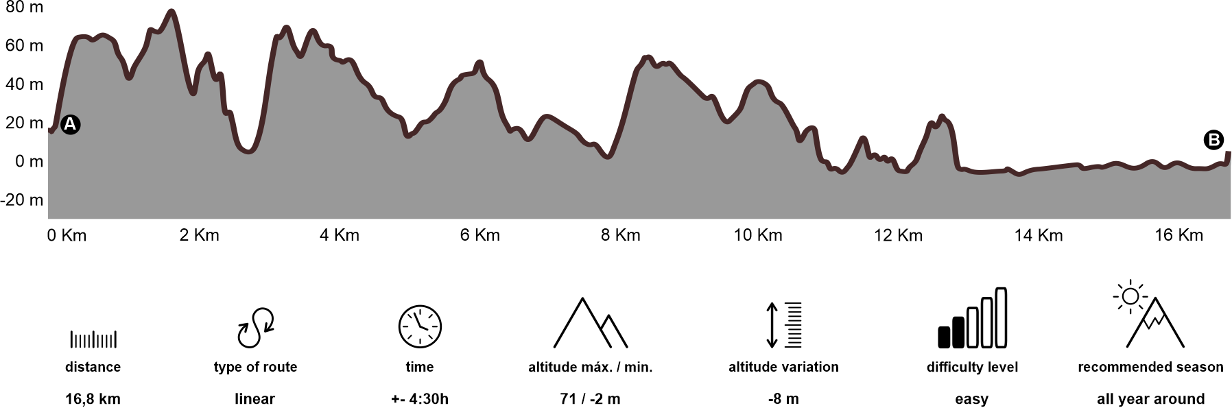 Altimetria